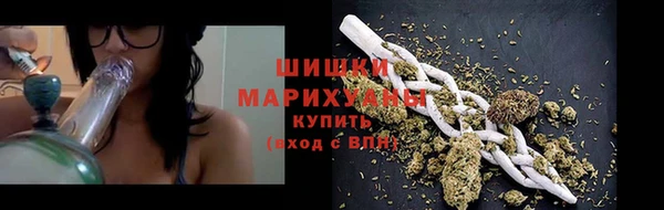 прущие грибы Белоозёрский