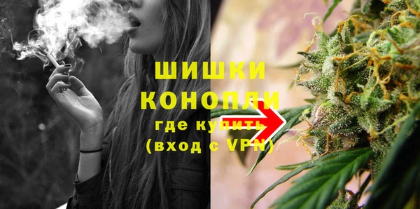 метадон Богданович