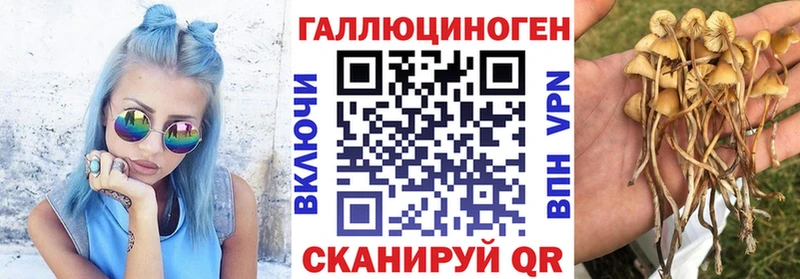 Галлюциногенные грибы мицелий  Чаплыгин 